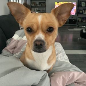 Meet your Posher, Alexis